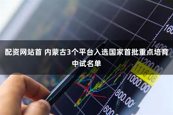 配资网站首 内蒙古3个平台入选国家首批重点培育中试名单