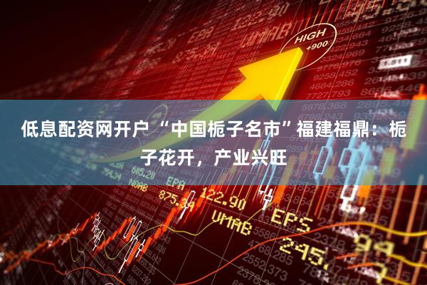 低息配资网开户 “中国栀子名市”福建福鼎：栀子花开，产业兴旺